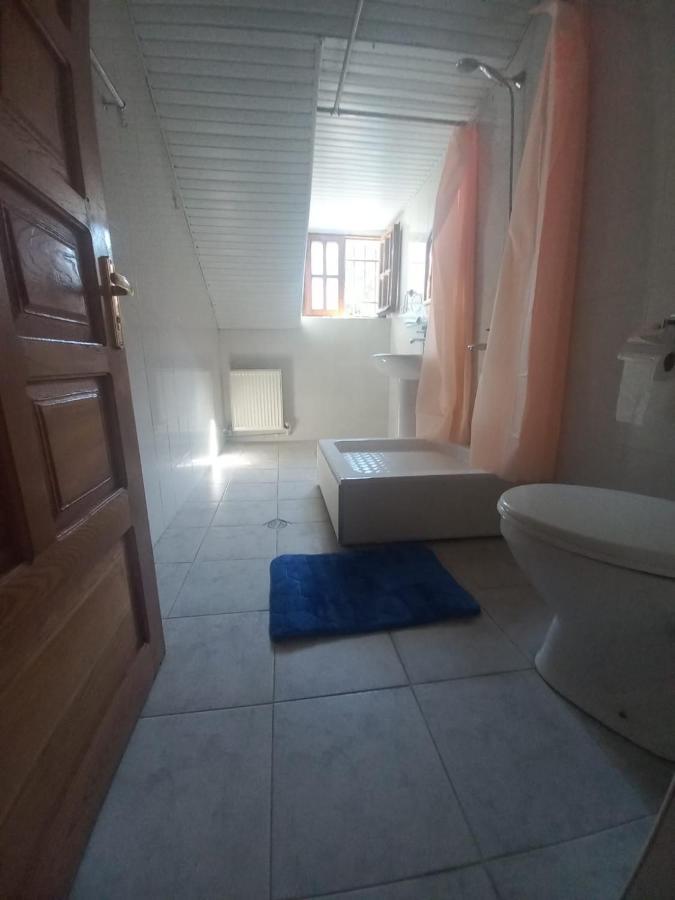 Alpha Tbilisi Hotel Екстериор снимка